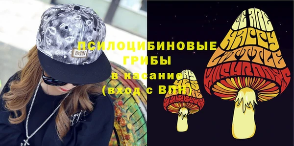 хмурый Зуевка