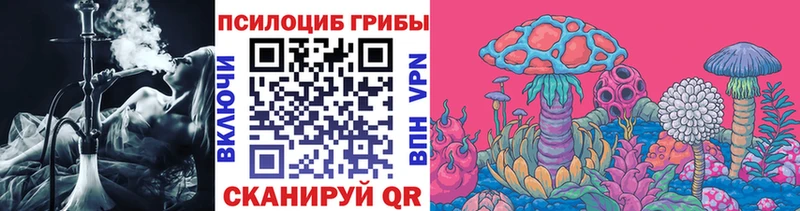 Псилоцибиновые грибы Cubensis  Баймак 